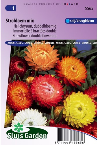 Strobloem Dubbelbloemig gemengd-2