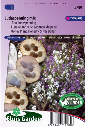 Judaspenning gemengd - Lunaria-2