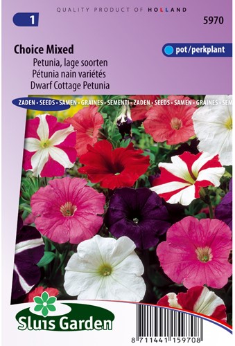 Petunie niedrige Sorten gemischt-2