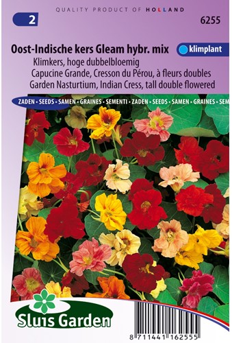 Kapuzinerkresse Gleam Hybrids mix, hochrankend-2