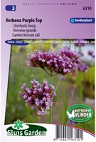 Eisenkraut Purple Top-2