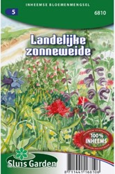 Auf ländlicher Sonnenwiese – Heimische Wildblumenmischung