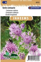 Skabiosen-Flockenblume - Centaurea scabiosa-2