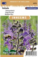 Veldsalie - Salvia pratensis-2