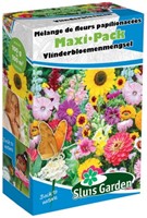 Streuschachtel Wiesenblumen-Samenmischung SCHMETTERLING - Maxi Pack Sluis Garden
