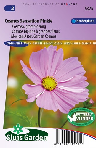 Schmuckkörbchen Sensation Pinkie - Cosmos bipinnatus