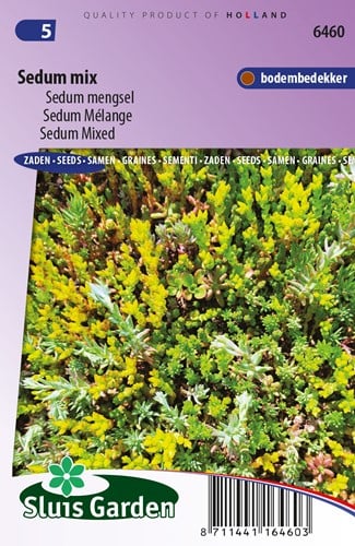 Mauerpfeffer Mischung - Sedum