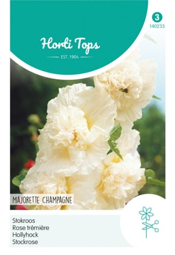 Stockmalve Majorette Champagne - Hortitops