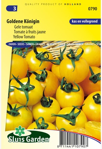 Tomaat Goldene Königin