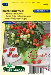Kerstomaat Heartbreakers Vita F1