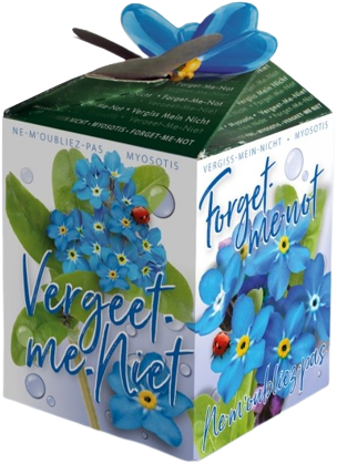 Vergissmeinnicht Ecogeschenke