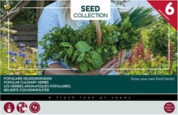 Kollection 6 Bellebete Küchenkräuter – Buzzy Collection