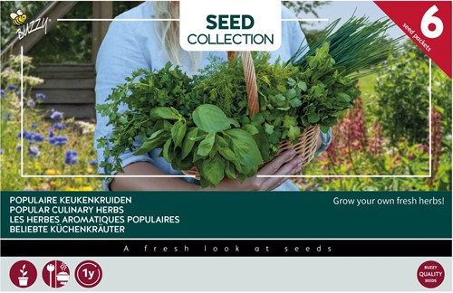 Kollection 6 Bellebete Küchenkräuter – Buzzy Collection