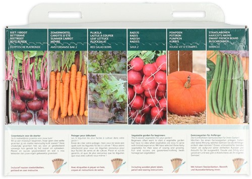 Kollektion6 Gemüsegarten für Anfänger – Buzzy Collection-3
