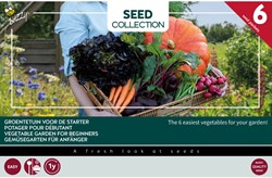 Kollektion6 Gemüsegarten für Anfänger – Buzzy Collection