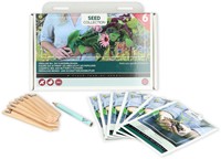 Kollektion 6 Fröhliche Bienen- und Schmetterlingsblüt – Buzzy Collection-2