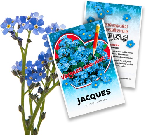 Vergissmeinnicht - Myosotis Personalisierte Werbegeschenke Samen - 50 Stück