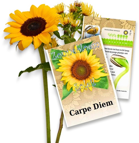 Zonnebloem zakjes persoonlijk bedrukt - 50 stuks