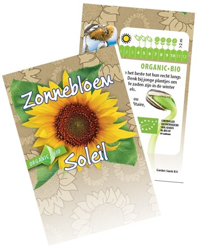 Riesen-Sonnenblume Bio-2