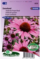 Sonnenhut Purpurea